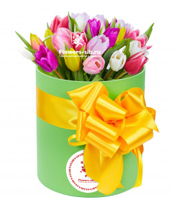 Box with tulips